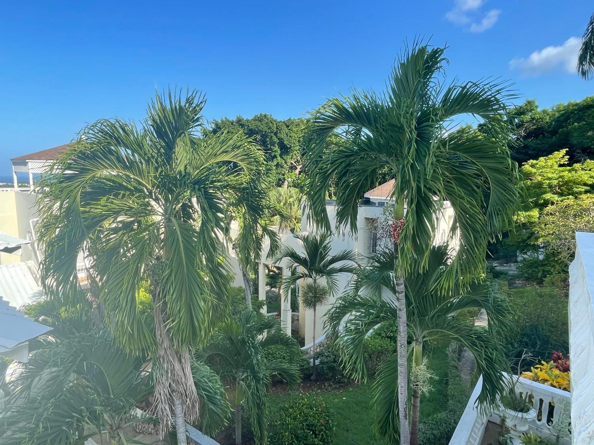 Oceanbreeze Jamaica Penthouse, 7-Minute Walk To Beach Ocho Rios Exterior photo